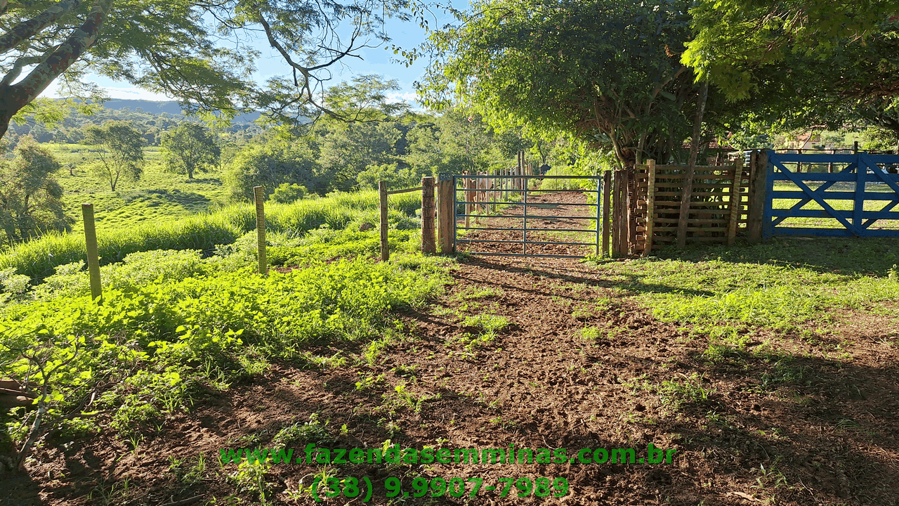 Sítio 4 hectares     R$ 600.000,00