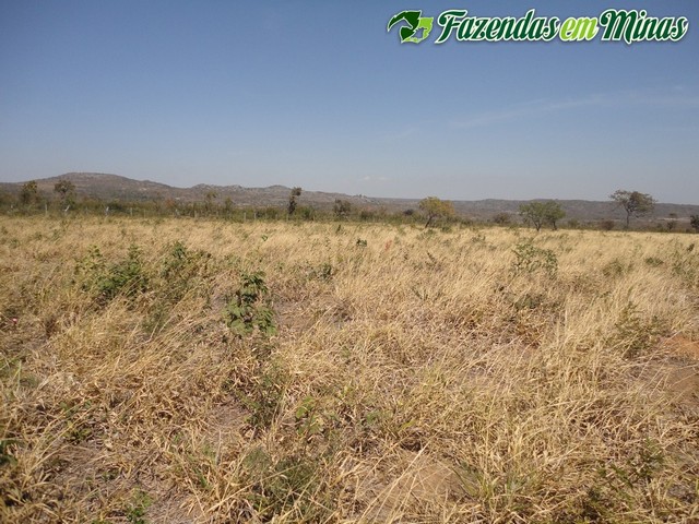 Fazenda para pecuária na Serra do Cabral 