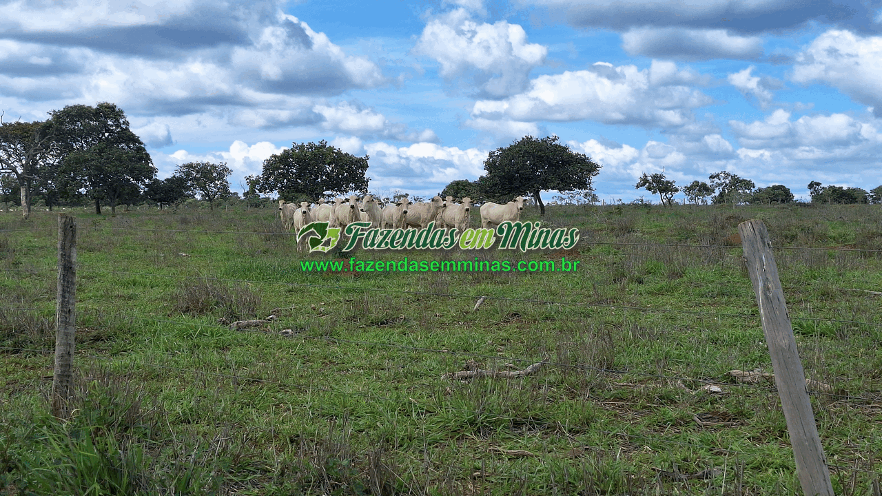 Cód.338         R$ 4.500.000,00
