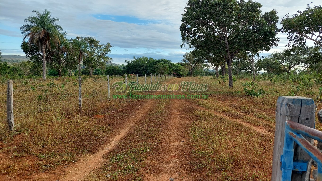 Cód. 495     R$ 1.800.000,00