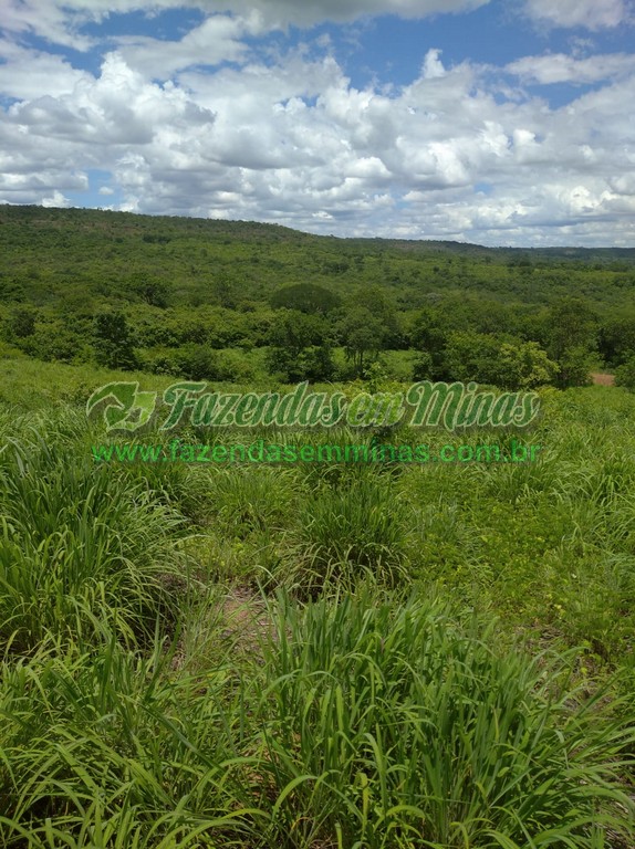 Cód.503     R$ 1.600.000,00