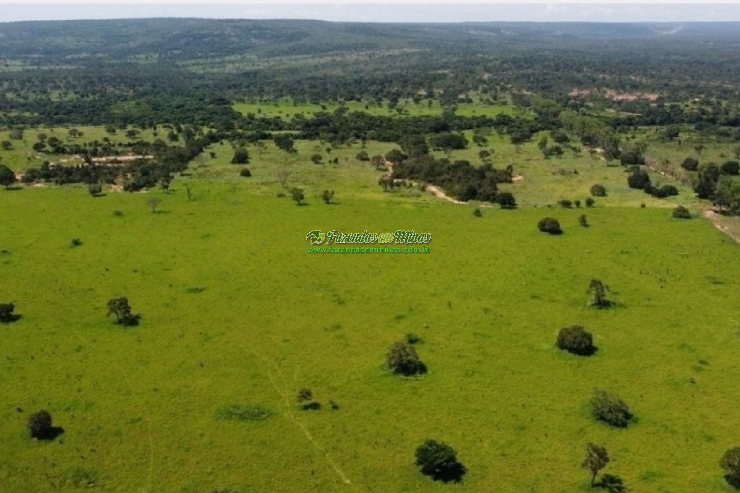 Cód.530              R$ 38.000.000,00