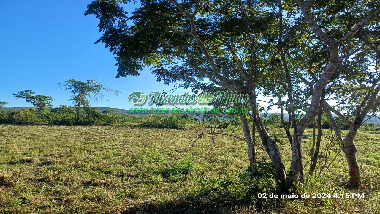 Cód.564         R$ 12.000.000,00