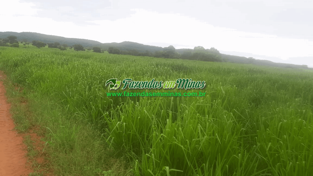 Cód.600         R$65.000.000,00