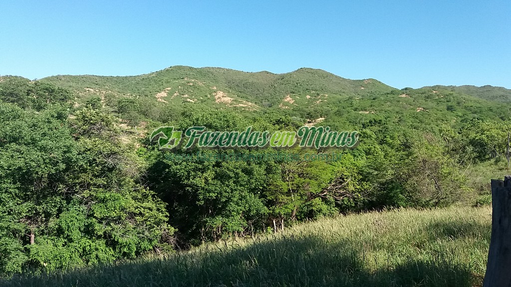 Fazenda 20 km do asfalto 