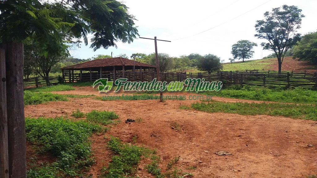 Fazenda  Cód.444  162 Ha  R$ 1.350.000