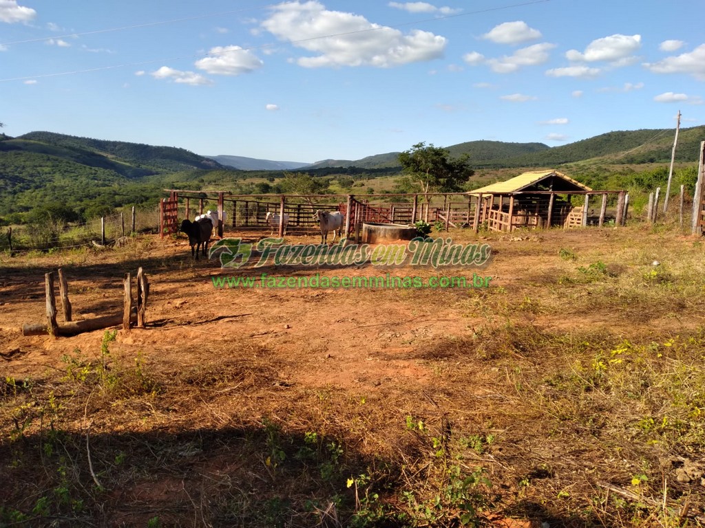 Cód. 490  R$ 2.300.000,00