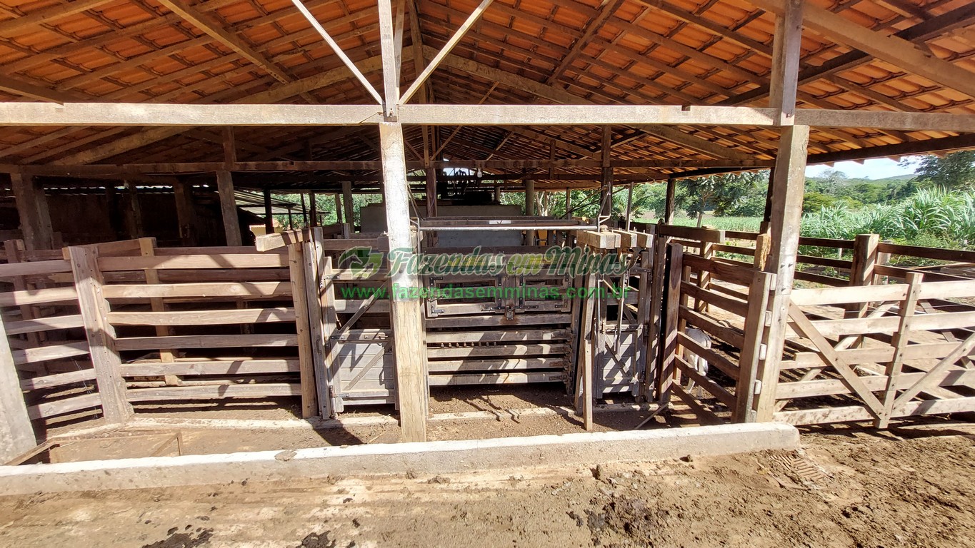 Cód. 493   R$ 1.450.000,00
