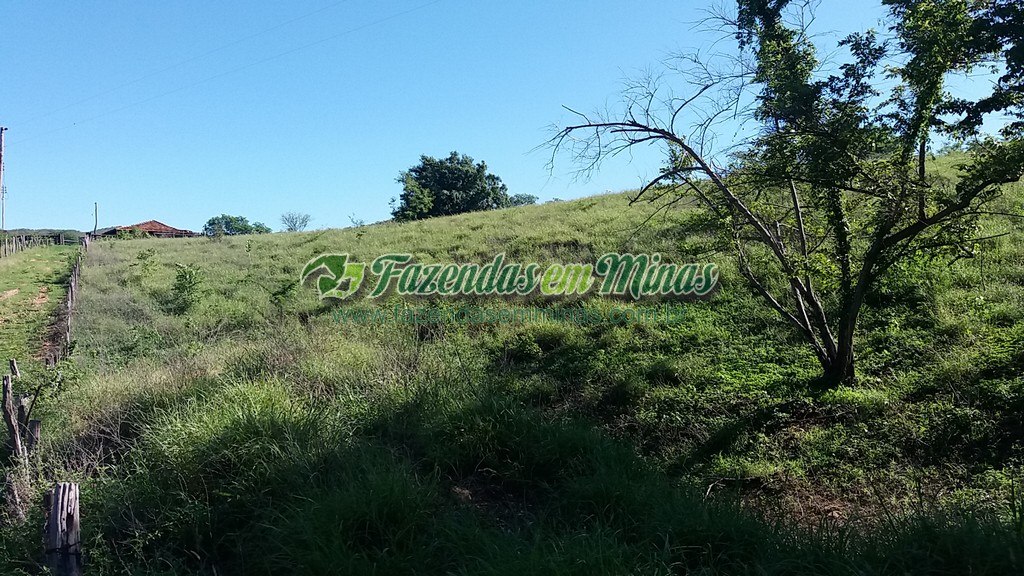 Fazenda 20 km do asfalto 