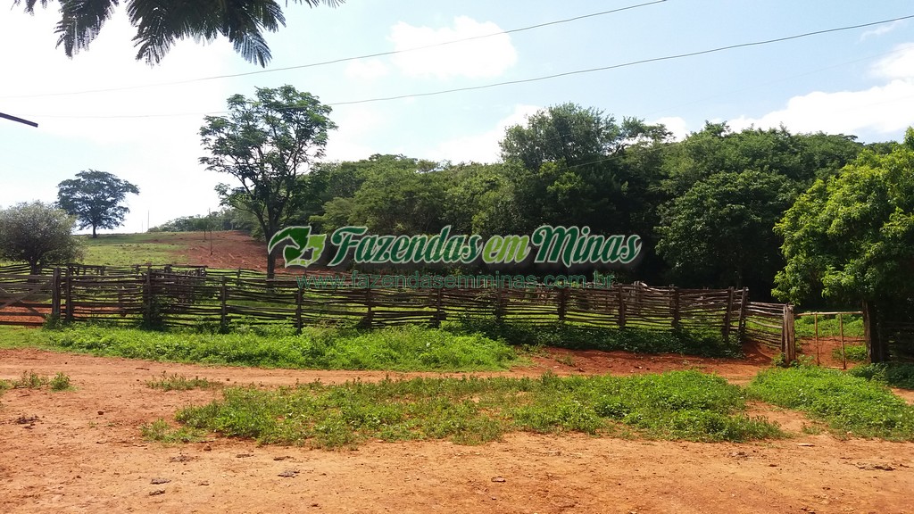 Fazenda  Cód.444  162 Ha  R$ 1.350.000