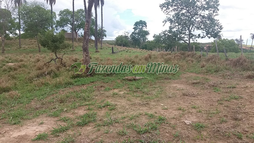 Fazenda município coração de Jesus para pecuária de leite e corte.