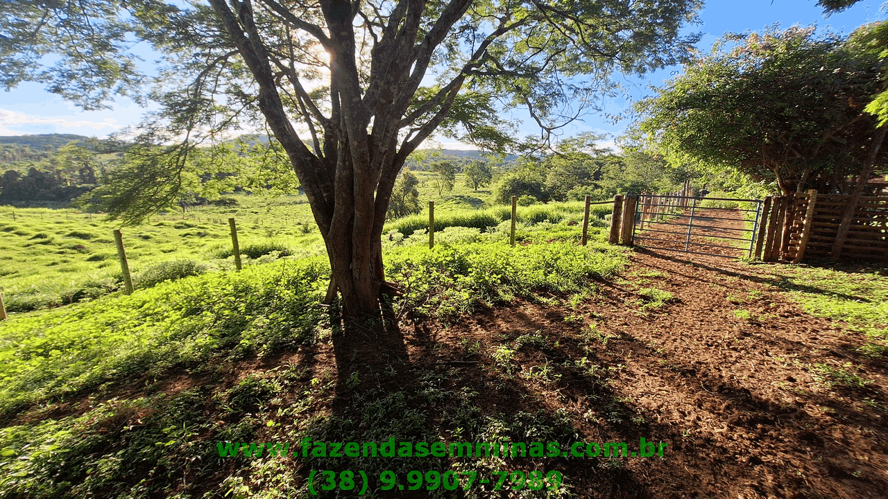 Sítio 4 hectares     R$ 600.000,00