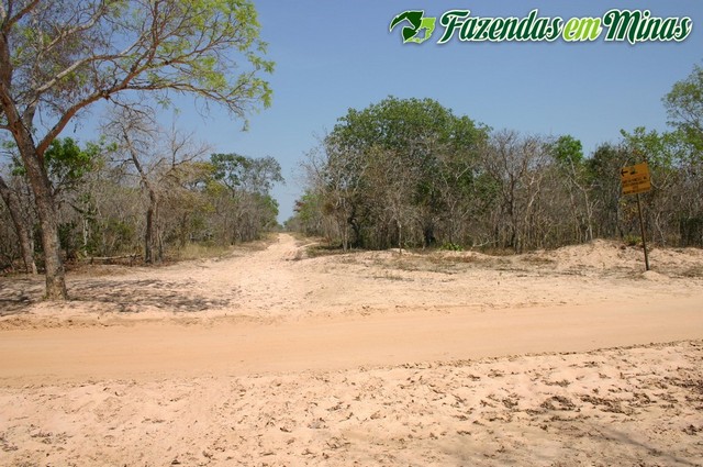 Fazenda para pecuária.