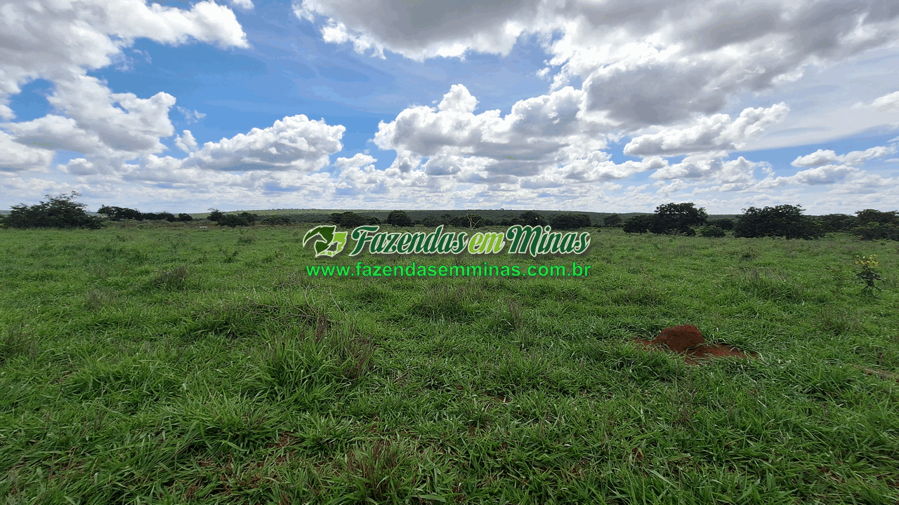 Cód.338         R$ 4.500.000,00