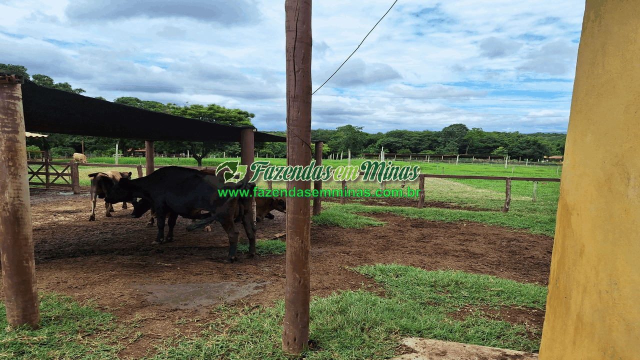 Cód.518       R$ 8.500.000,00
