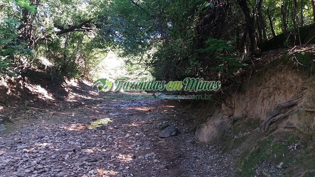 Fazenda 20 km do asfalto 