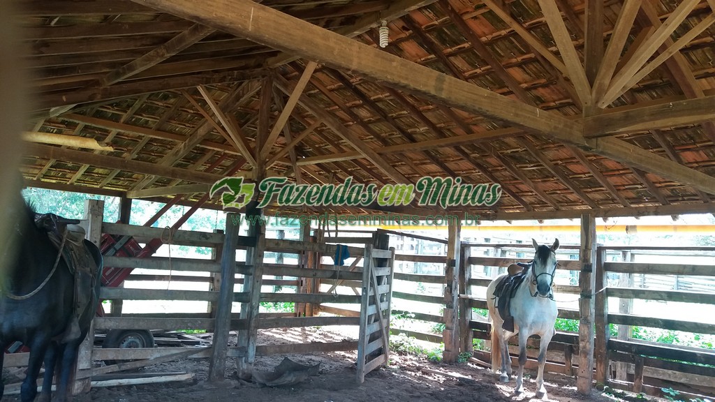 Fazenda  Cód.444  162 Ha  R$ 1.350.000