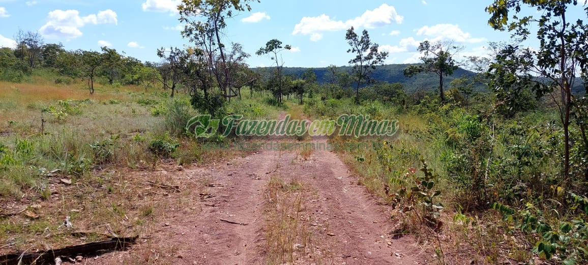 Cód. 479       R$ 900.000,00