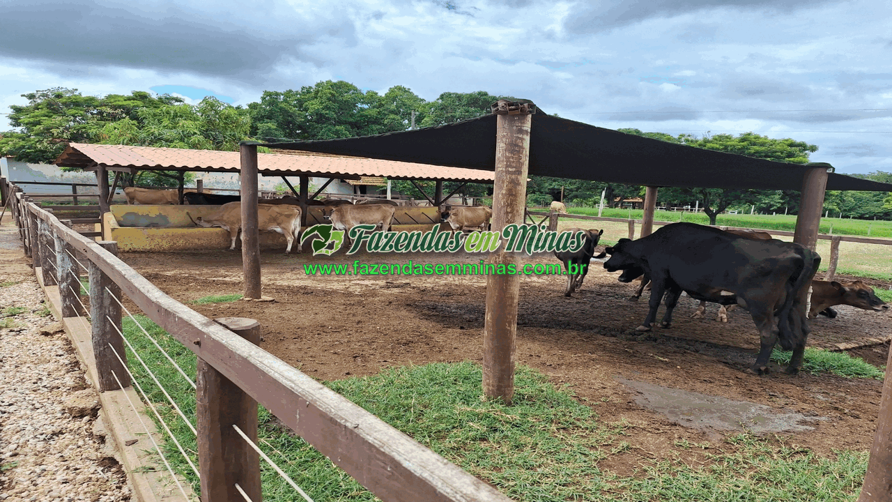 Cód.518       R$ 8.500.000,00