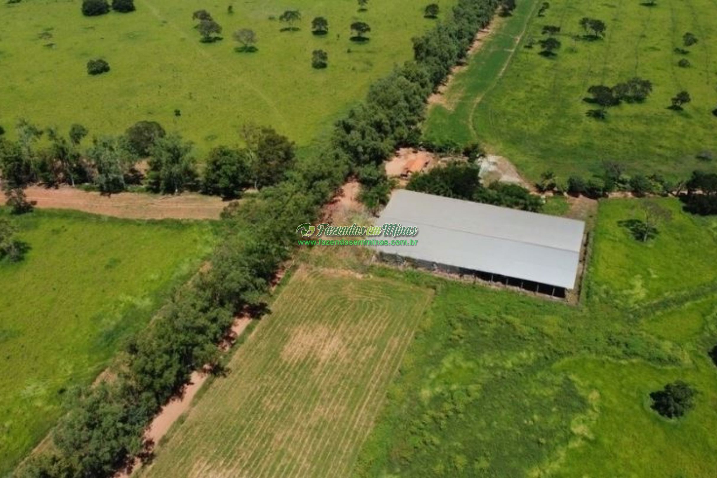 Cód.530              R$ 38.000.000,00