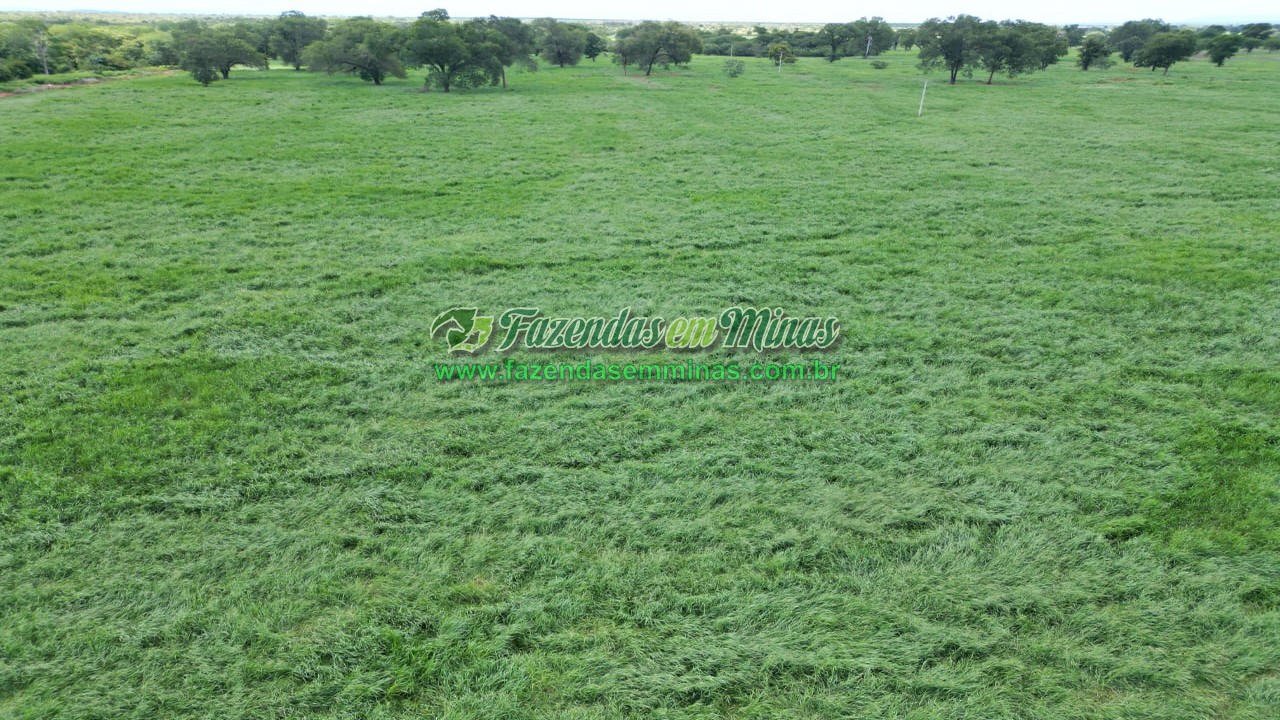 Cód.569      R$ 4.600.000,00