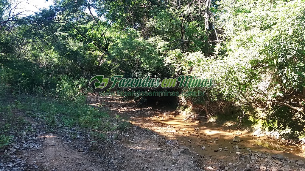 Fazenda 20 km do asfalto 