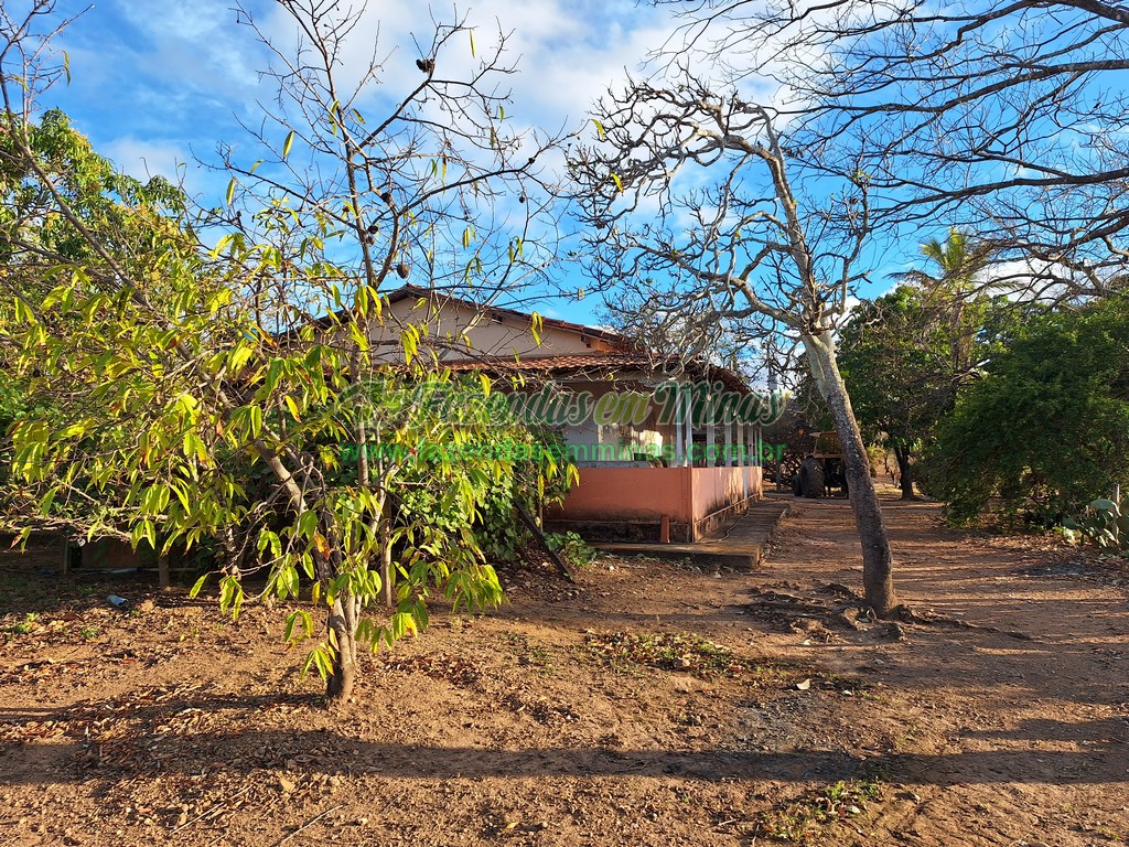 Cód. 506            R$ 1.600.000,00