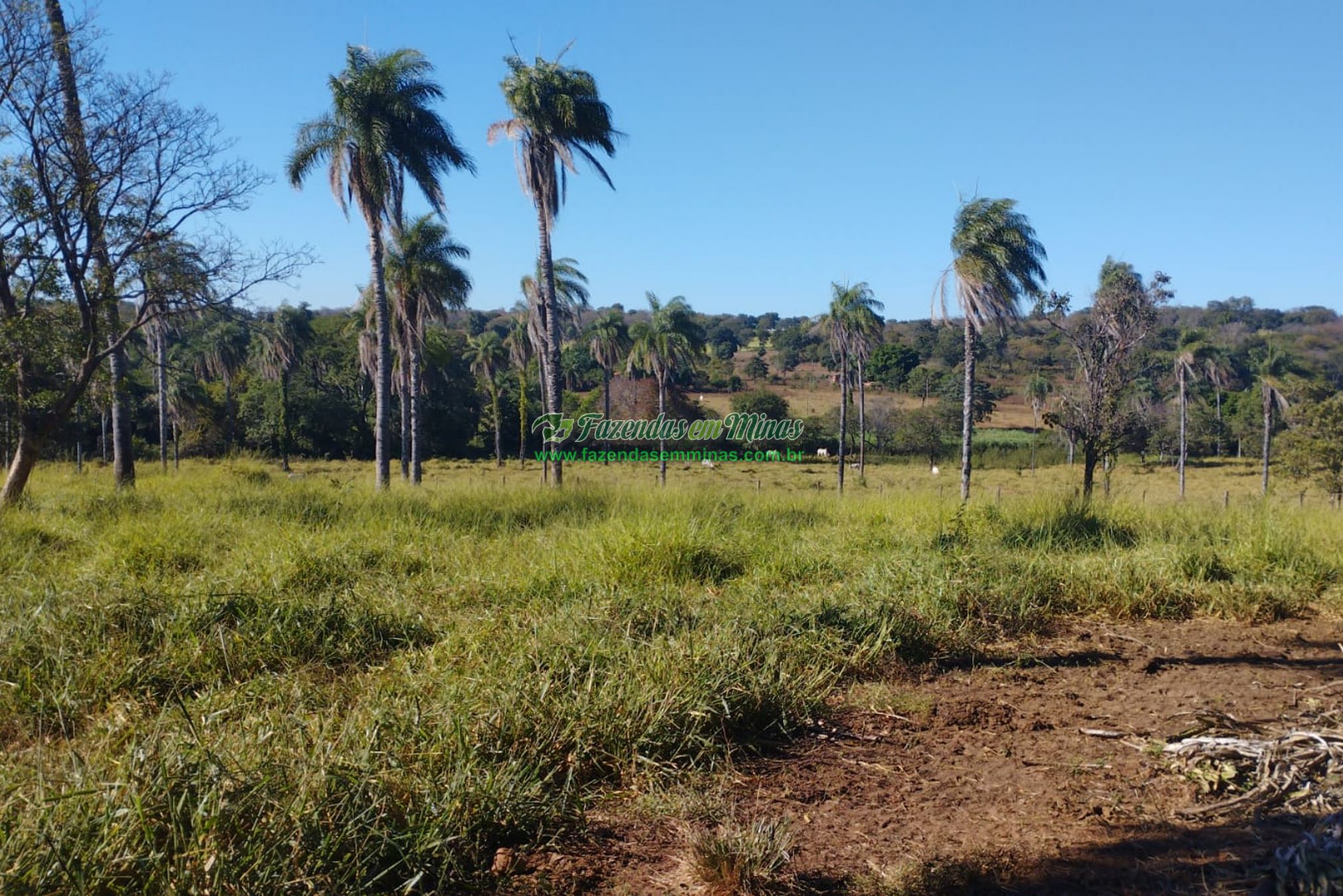 Cód.533      R$ 4.600.000,00