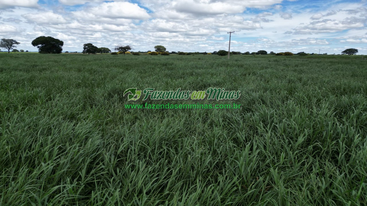 Cód.569      R$ 4.600.000,00