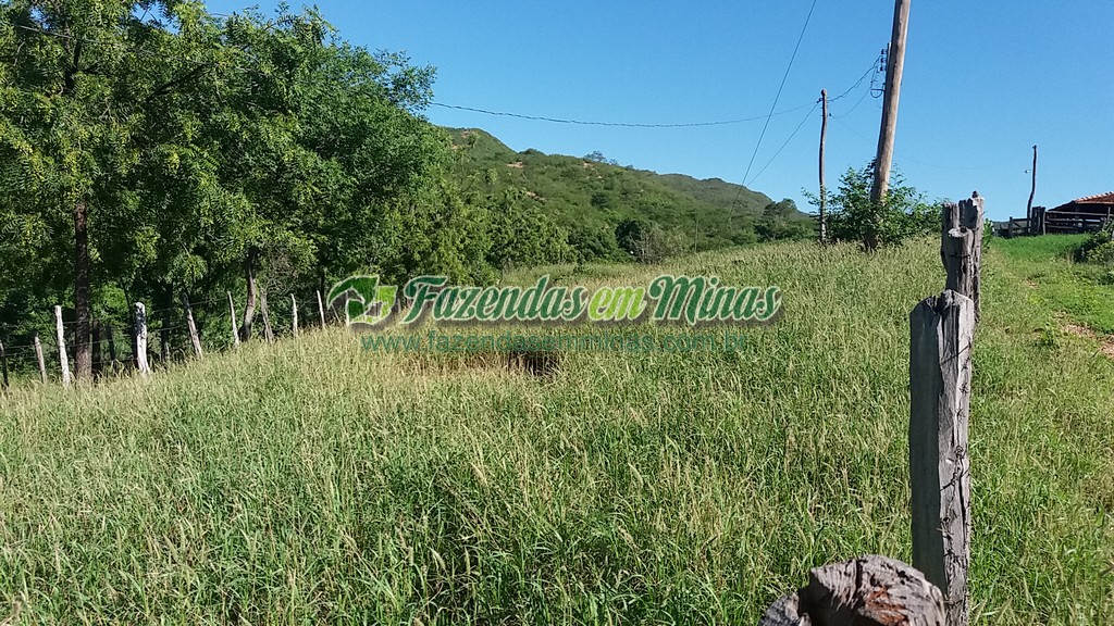 Fazenda 20 km do asfalto 