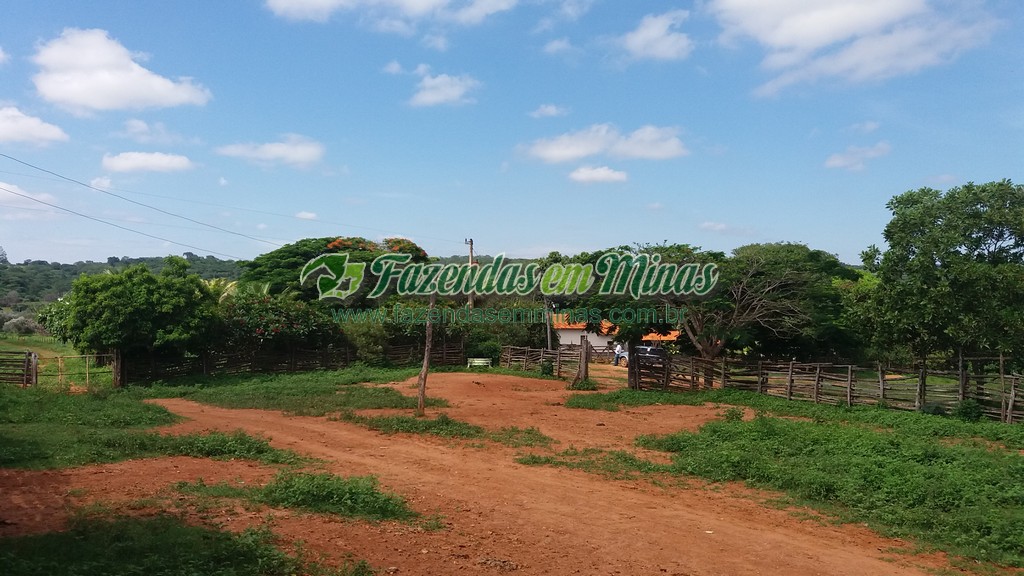 Fazenda  Cód.444  162 Ha  R$ 1.350.000