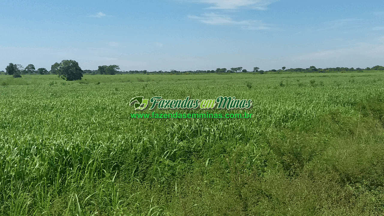 Cód.600         R$65.000.000,00