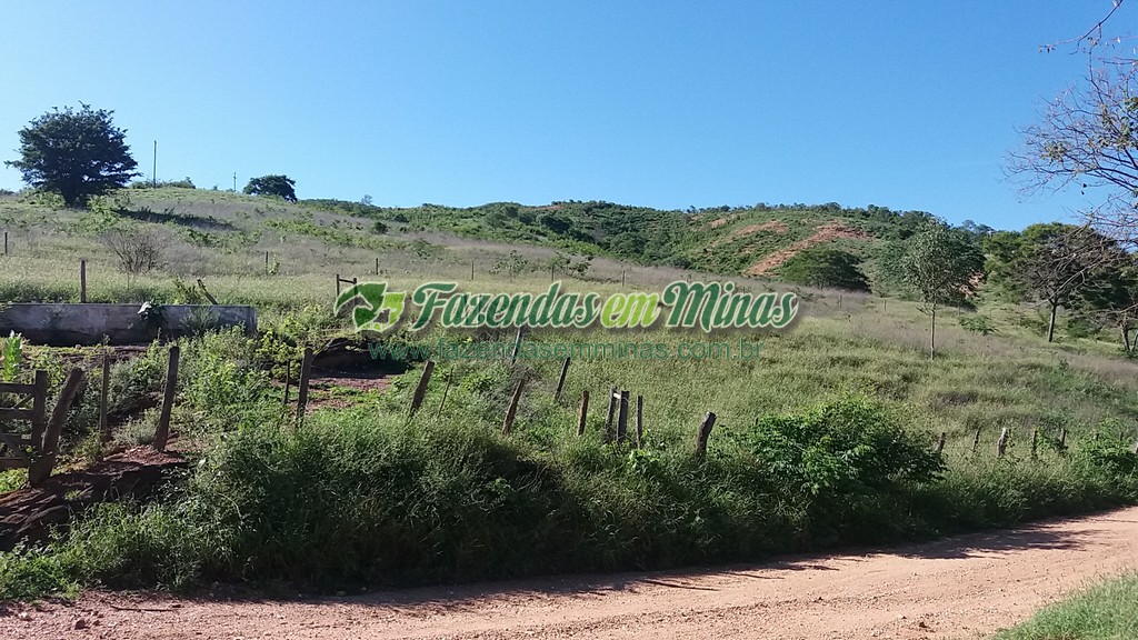 Fazenda 20 km do asfalto 